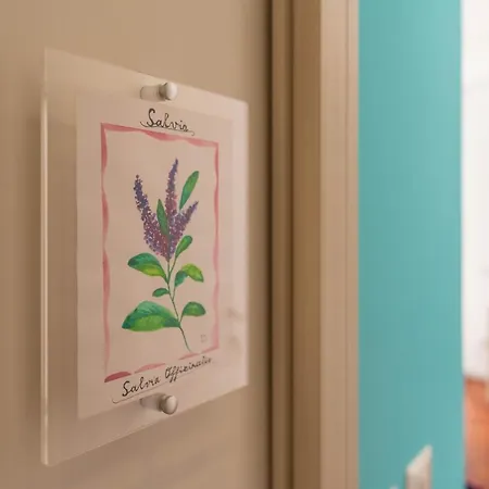Panacea לינה וארוחת בוקר