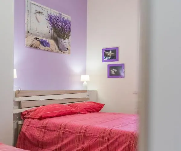 Panacea Alojamento de Acomodação e Pequeno-almoço