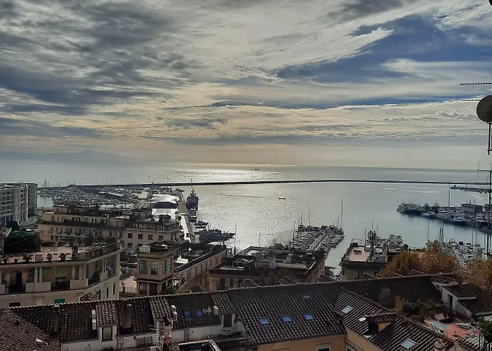 Alojamento de Acomodação e Pequeno-almoço Panacea 4*